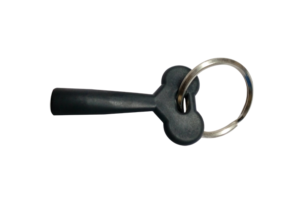 Auto Door Key